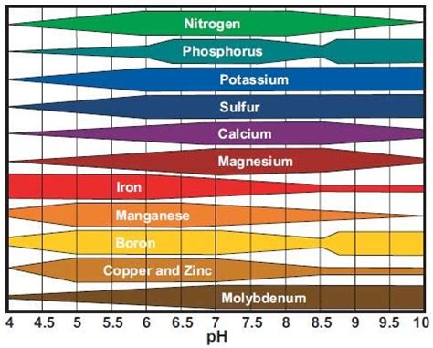 Lime and Nutrient Uptake