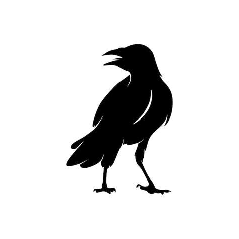 Premium Vector | Crow vector silhouette illustration