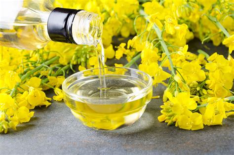 Canola oil | Description, Uses, Ingredients, & Benefits | Britannica