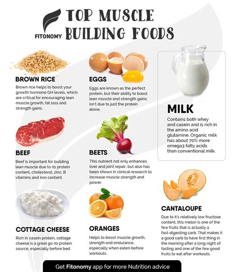 High Protein Foods For Muscle Building - tech design trick