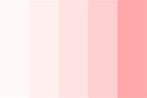 Blush Pink Color Palette