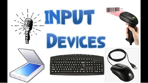 What is an input device? Definition and types of input device » Edu ...