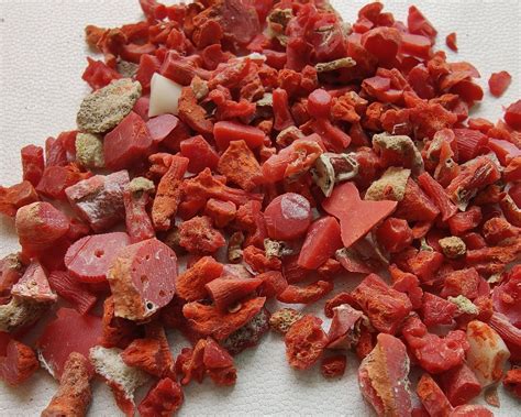 100% Natural Red Coral Rough Gemstone Loose Stone Coral Rough | Etsy