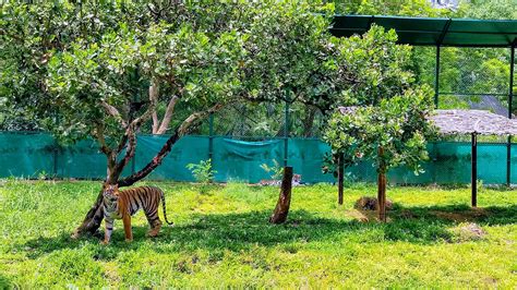 Bannerghatta National Park - History, Location, Details, Ticket Price, Timings | Adotrip