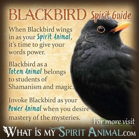 Blackbird Symbolism & Meaning | Blackbird Spirit, Totem & Power Animal