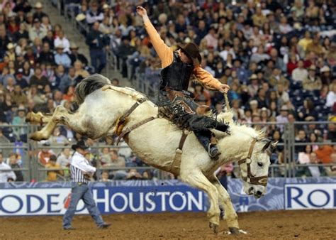 Houston Rodeo Time - Blog - Randall Davis Company