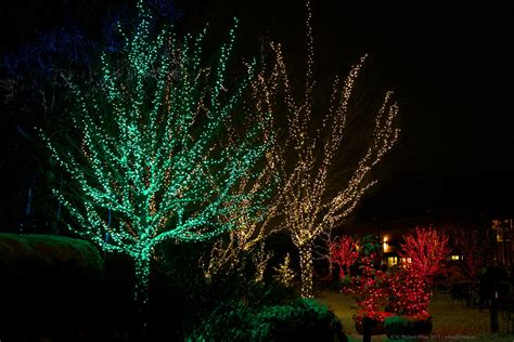 Morton Arboretum Illumination 23 | Visitor Center | H. Michael Miley | Flickr