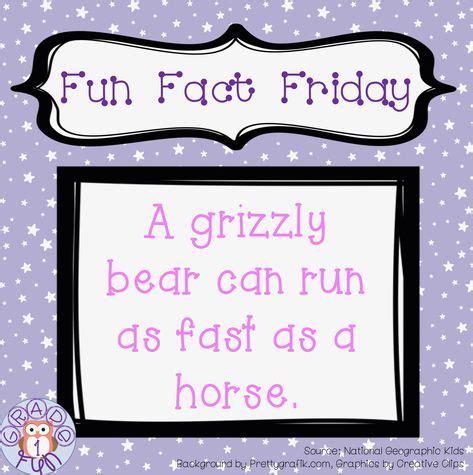 15 Fun Fact Fridays ideas | fun fact friday, fun facts, fun