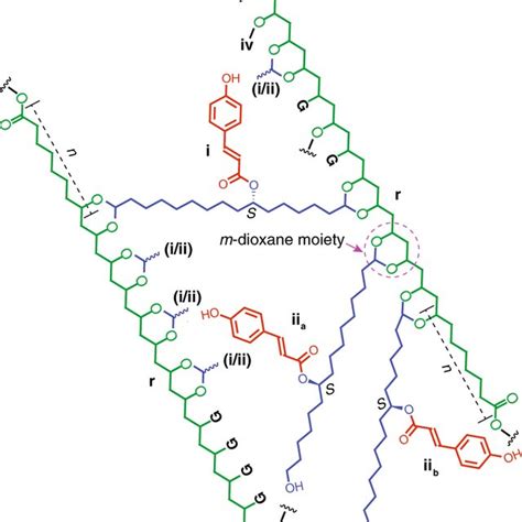 ¹³C solid-state NMR spectra of untreated and treated pine sporopollenin ...