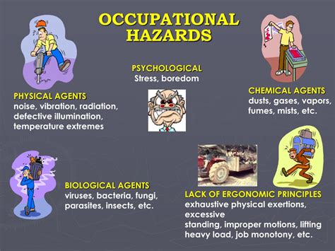 PPT - EOH 3202 BIOLOGICAL HAZARD & BIOSAFETY LEVEL PowerPoint Presentation - ID:1755969