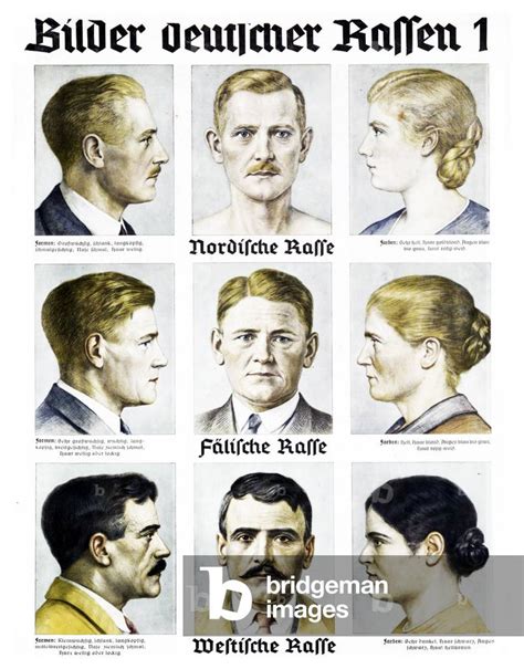 Image of Nazi Party 'German Race' Wall chart