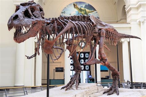 Extinct Animals That Could Be Resurrected One Day | Reader's Digest
