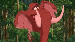 Tantor the Elephant | Disney Wiki | FANDOM powered by Wikia