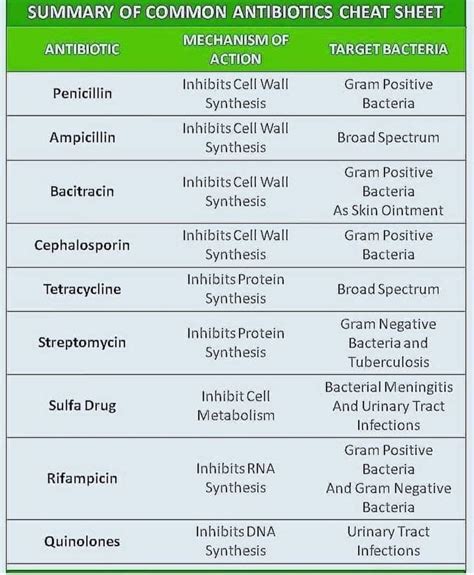 Antibiotic Class Chart: Drug Name List, Coverage, Mechanism, 48% OFF