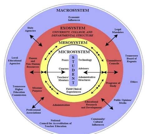 1 : The bio-ecological theory illustrating the relationship between the ...