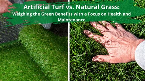 Artificial Turf vs. Natural Grass Weighing the Green Benefits with a Focus on Health and ...