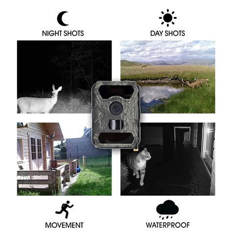 Solar Panel Powered 3g Wireless Hd Deer Hunting Camera - Buy Deer Hunting Camera,Deer Camera,Hd ...