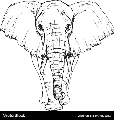 Incredible Collection of 4K Elephant Drawing Images: Over 999 Exquisite ...