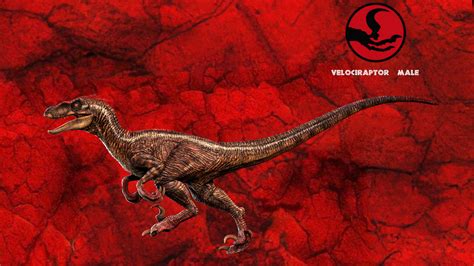 JP3 - Raptor Male Render by DracoKhajiit on DeviantArt