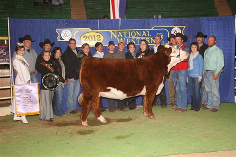 Buck Cattle Co. Blog: NWSS - Reserve Grand Polled Hereford - Jr & Open Show