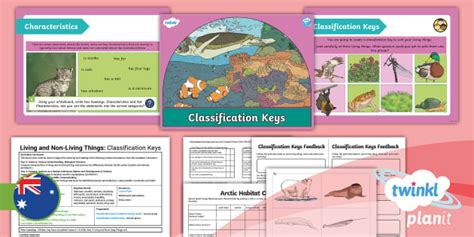 Y3 Science Living and Non-Living Things Classification L5