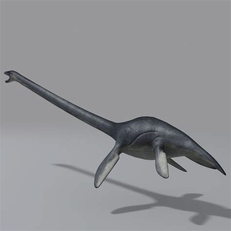 3d model marine elasmosaurus elasmosaur