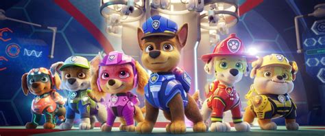 Paw Patrol: The Movie First Images Show New Pup Voiced by Kim Kardashian