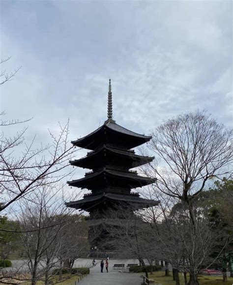 Toji-temple | Enjoy Kyoto Night & Day