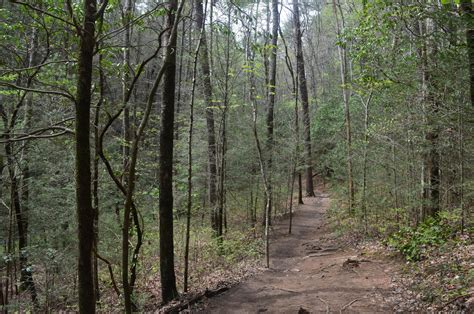 Raven Cliffs Wilderness: Raven Cliff Falls Trail, Helen, Georgia ...