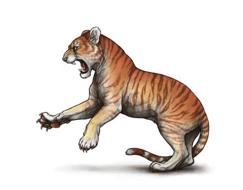 (Retired) Tigon Hype - Lioden Wiki