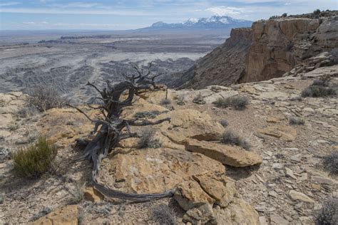 Geomorphology Giant: The Legacy of Grove Karl Gilbert, 1843–1918