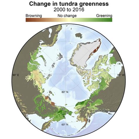 Rapid Greening Across Arctic Tundra Studied via NASA Satellites – “Really a Bellwether of Global ...