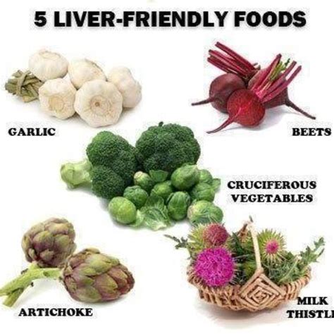 Liver support | Foods for liver health, Healthy liver, Liver health