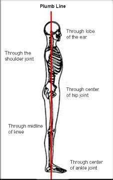 Posture: Is there an ideal posture? - ProActive Health - Oakville