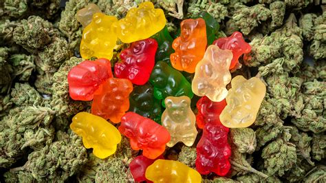 Florida students accidentally ate weed candy, sent to emergency room