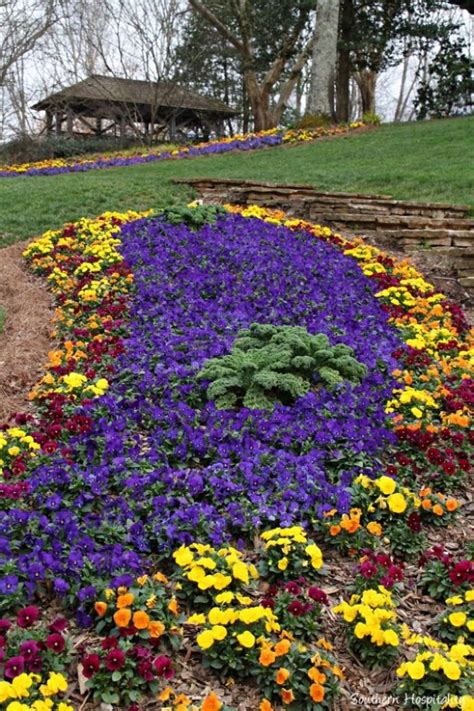 Spring at Gibbs Gardens: the Daffodils - Southern Hospitality