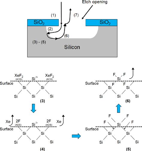 Figure 7 from Xenon difluoride etching of sacrificial layers for fabrication of ...