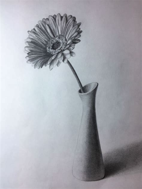 Gerbera in a vase. Graphite/pencil drawing by Elena Whitman | Flower sketch pencil, Pencil ...