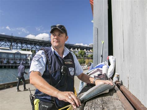 Watch Sydney Harbour Patrol - Season 1 | Prime Video