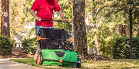 Lawn Sweeper vs Bagger: Differences and Similarities - GFL Outdoors