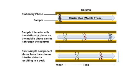 Column Gas Chromatography