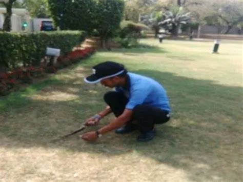 Cricket Ground Grass Maintenance Serv at Rs 1/square feet in New Delhi ...