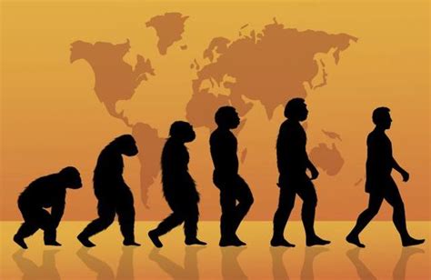 La teoría sintética de la evolución timeline | Timetoast timelines