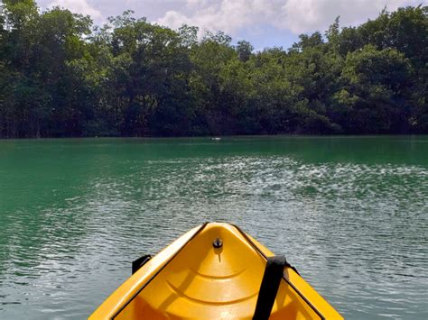 Kayaking With Manatees And Mountain Biking In Miami - Buddy The Traveling Monkey