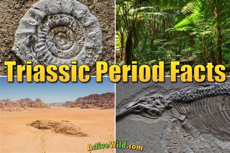 The Triassic Period Facts For Kids & Adults: Animals, Climate, Geography