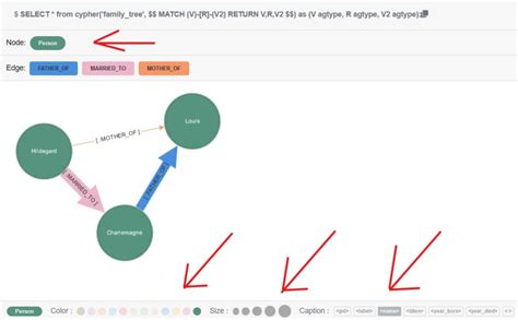 Visualizations in Apache-Age - DEV Community