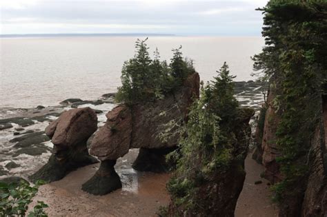 The Ultimate New Brunswick Road Trip Itinerary - Alex on the Map