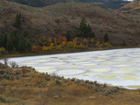 Free stock photo of spotted lake osoyoos bc