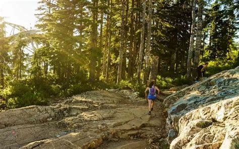 10 Things to Do at Grouse Mountain: Top Activities (2024) - Vancouver Planner