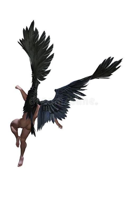 Demon Wings, Black Wing Plumage Isolated with Clipping Path. stock ...